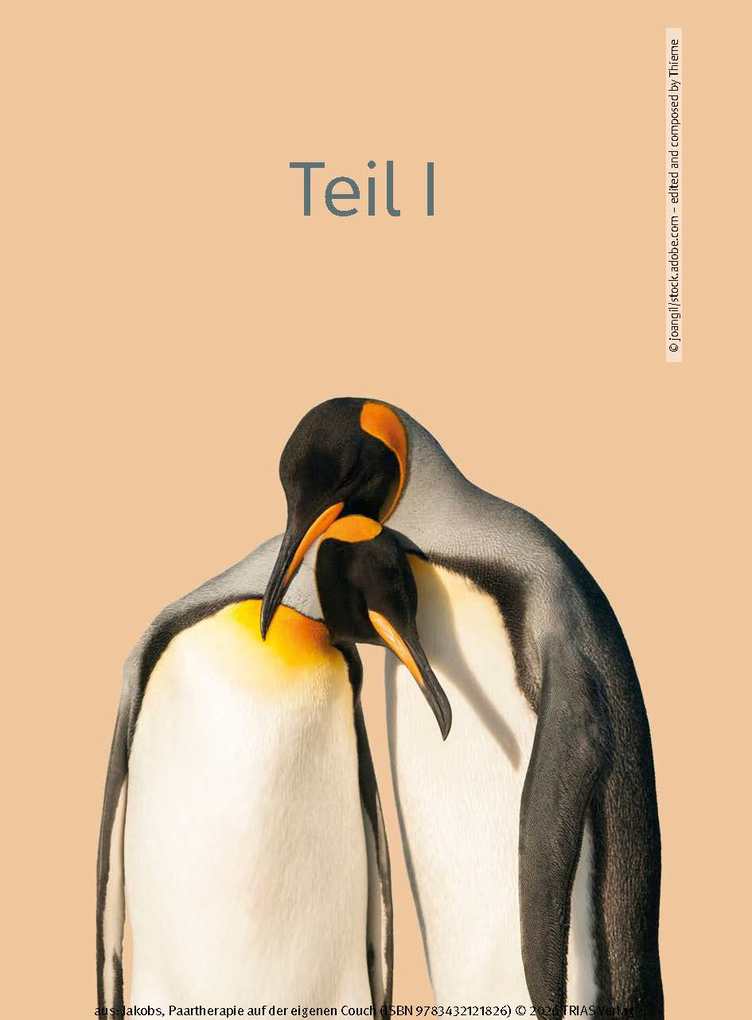 Weitere Ansicht: Paartherapie auf der eigenen Couch | Birgit Jakobs