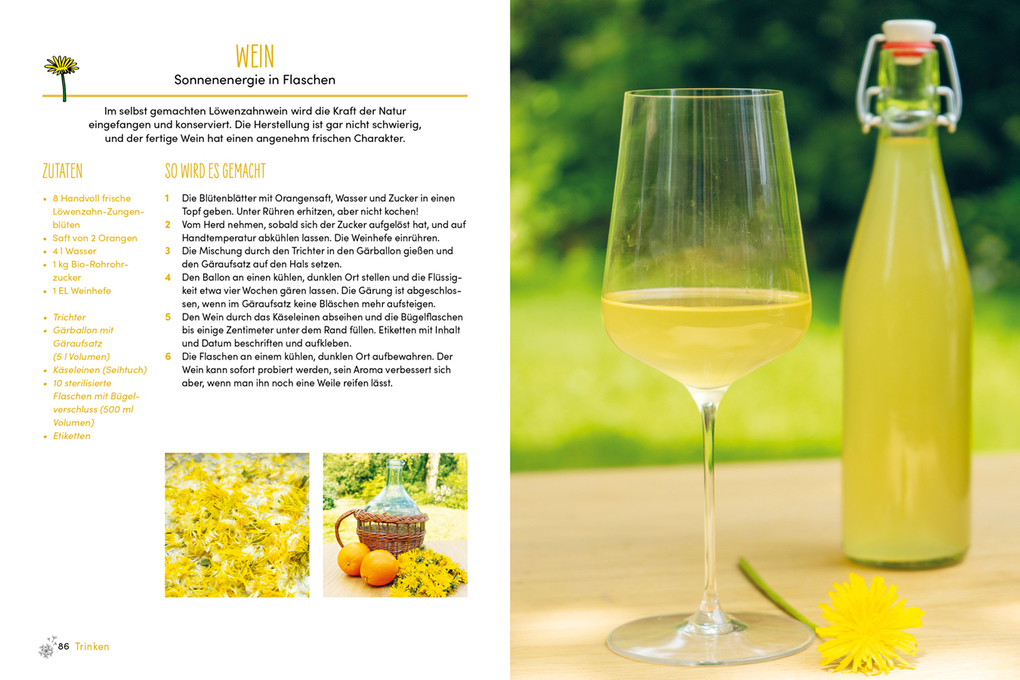 Weitere Ansicht: Löwenzahn | Natasja van der Meer