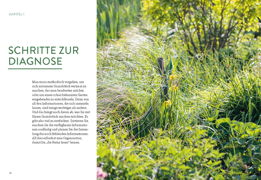 Weitere Ansicht: Pflanzengeflüster | Jean-Michel Groult