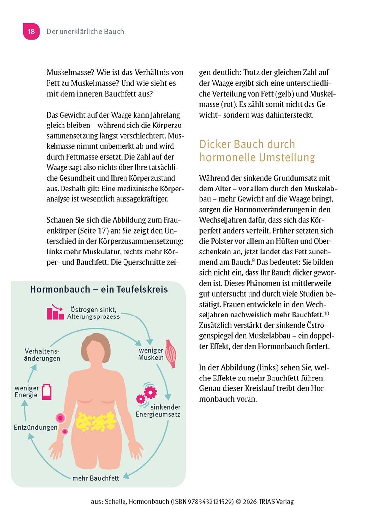 Weitere Ansicht: Hormonbauch | Viktoria Schelle