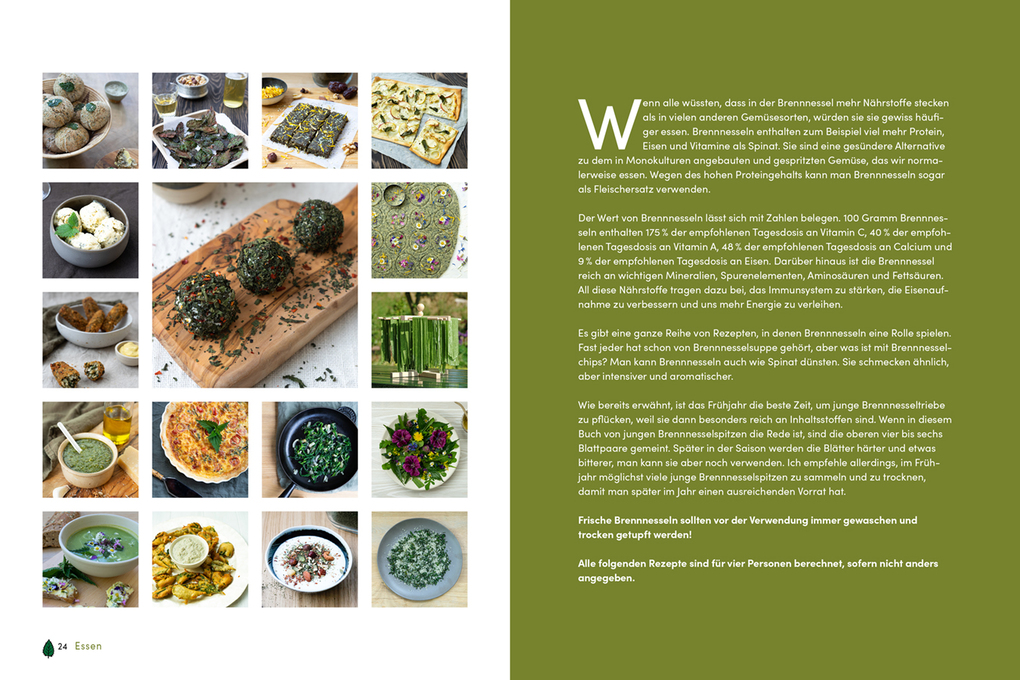 Weitere Ansicht: Brennnessel | Natasja van der Meer