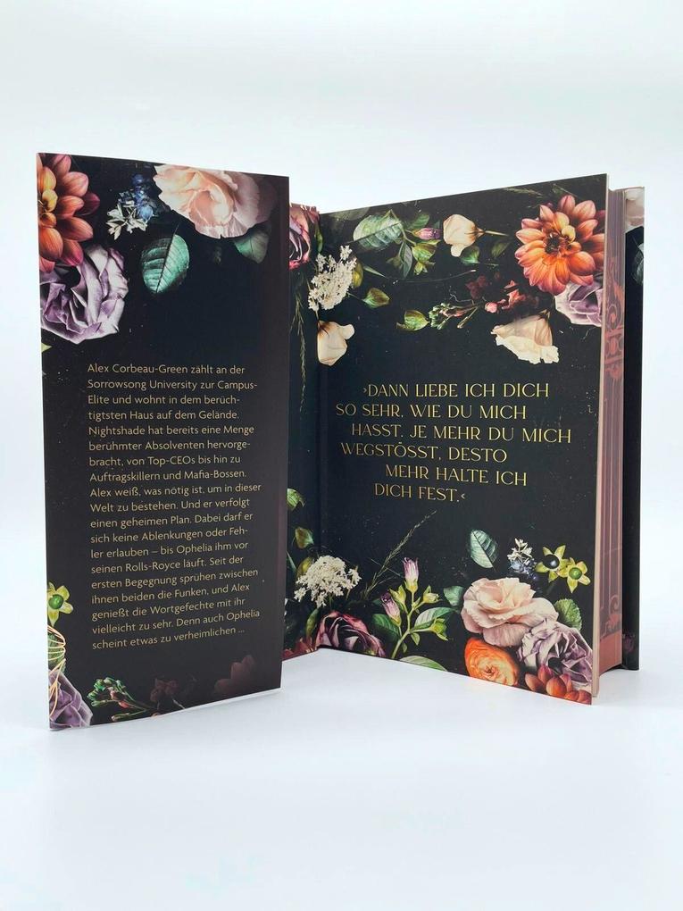 Weitere Ansicht: Nightshade | Autumn Woods