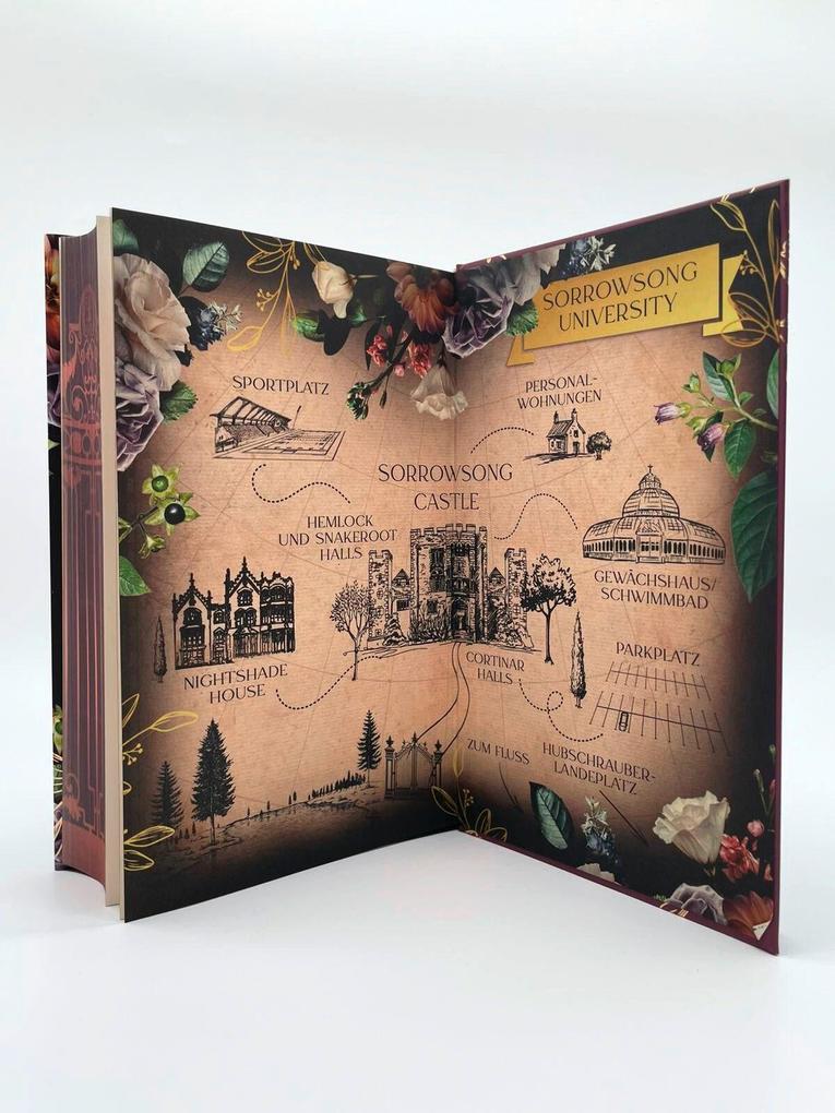 Weitere Ansicht: Nightshade | Autumn Woods