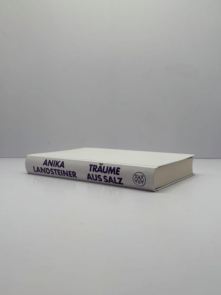 Weitere Ansicht: Träume aus Salz | Anika Landsteiner