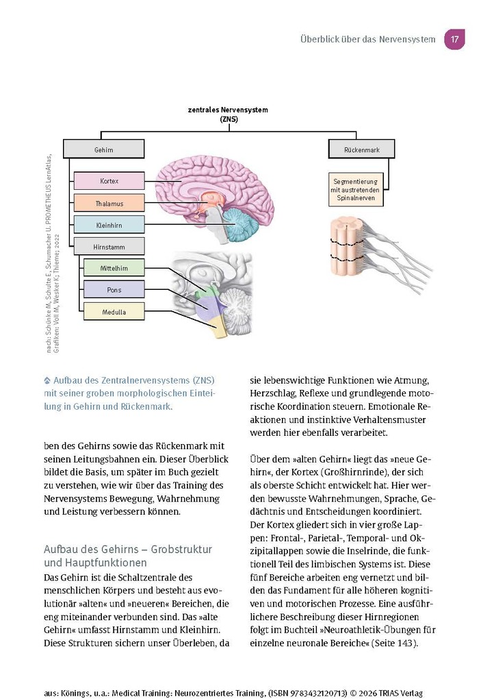 Weitere Ansicht: Medical Training: Neurozentriertes Training | Andreas Könings, Lisa Könings