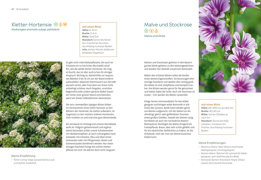 Weitere Ansicht: Der Nachtgarten | Lena Landefeld