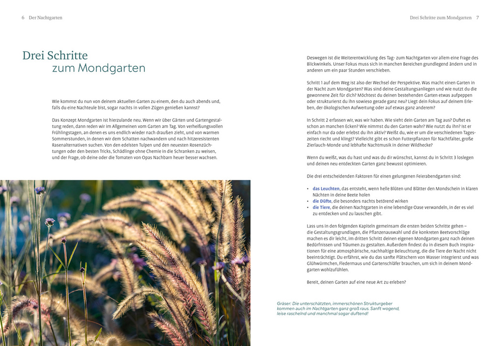 Weitere Ansicht: Der Nachtgarten | Lena Landefeld