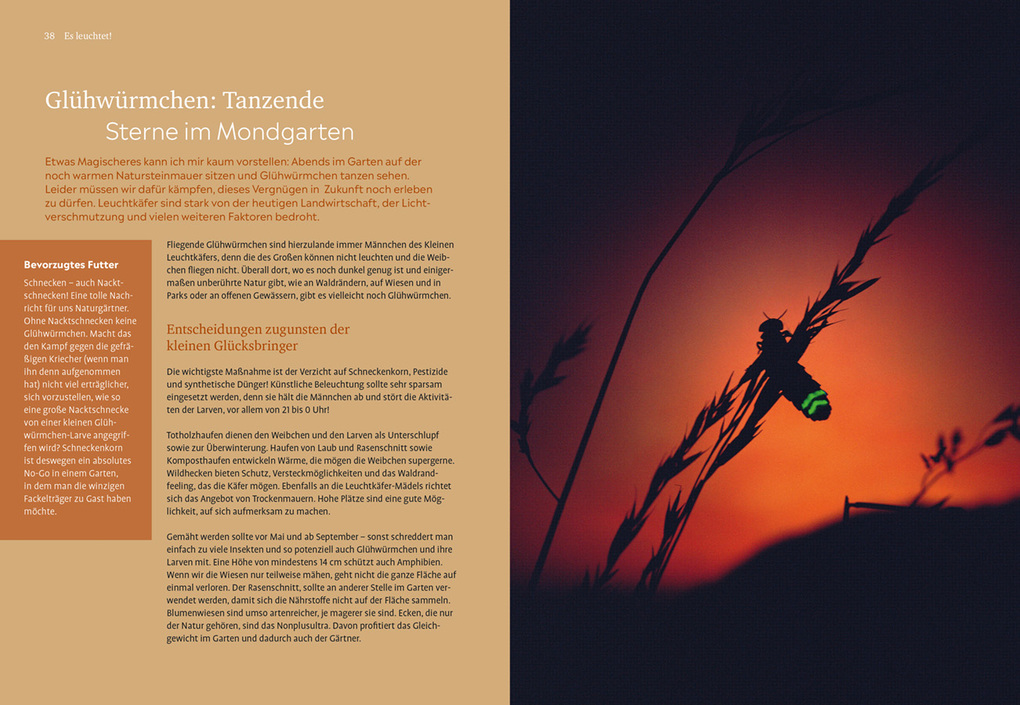 Weitere Ansicht: Der Nachtgarten | Lena Landefeld