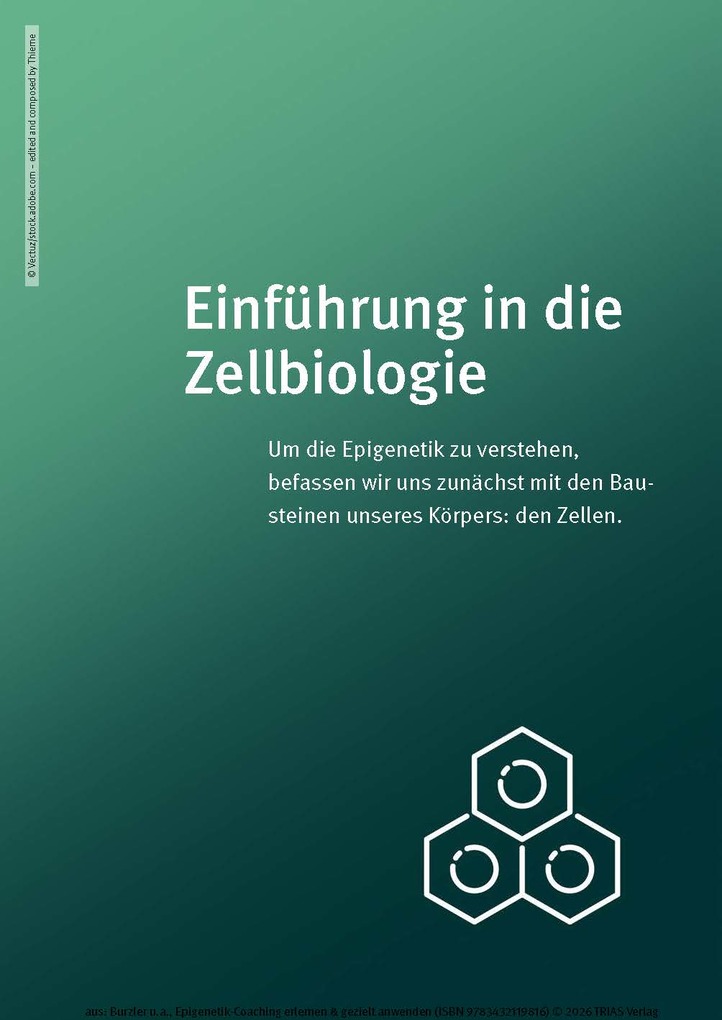 Weitere Ansicht: Epigenetik-Coaching erlernen & gezielt anwenden | Manuel Burzler, Timo Janisch