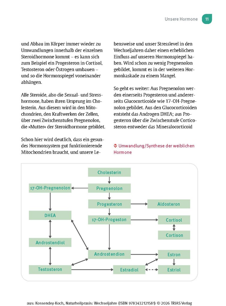Weitere Ansicht: Naturheilpraxis Wechseljahre | Ann-Katrin Kossendey-Koch