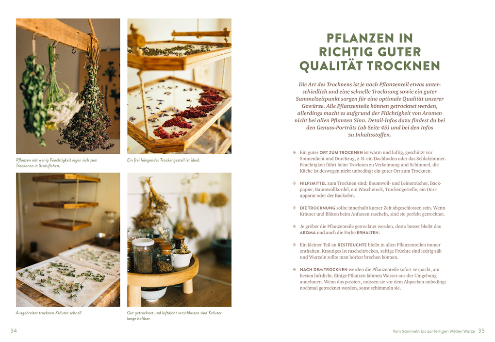 Weitere Ansicht: Wilde Würze | Christine Knauft