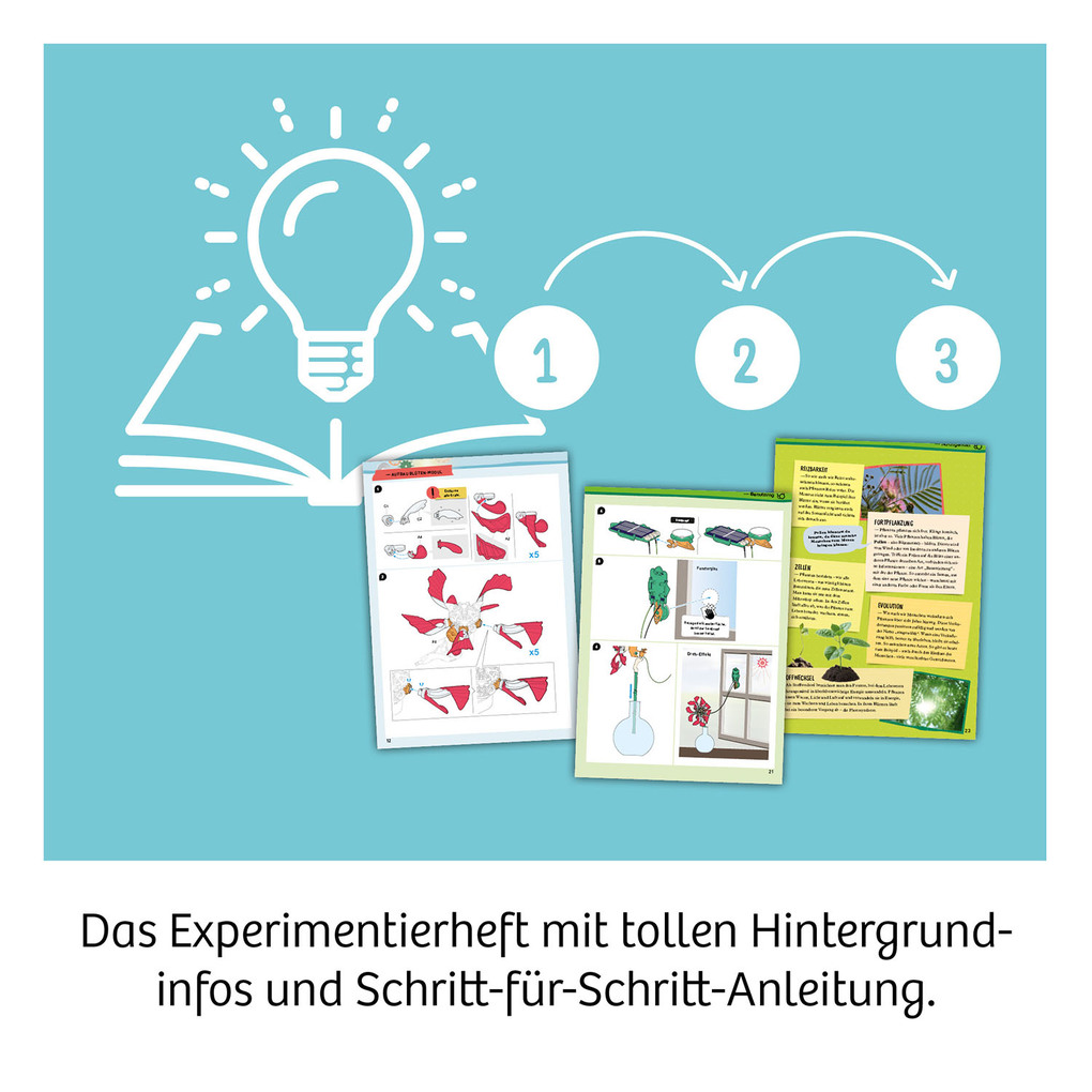 Weitere Ansicht: Solar-Flower