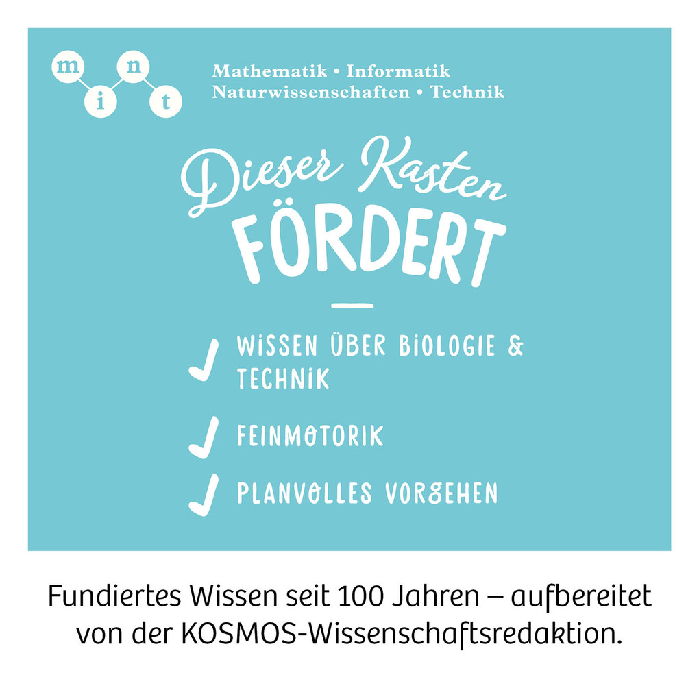 Weitere Ansicht: Solar-Flower