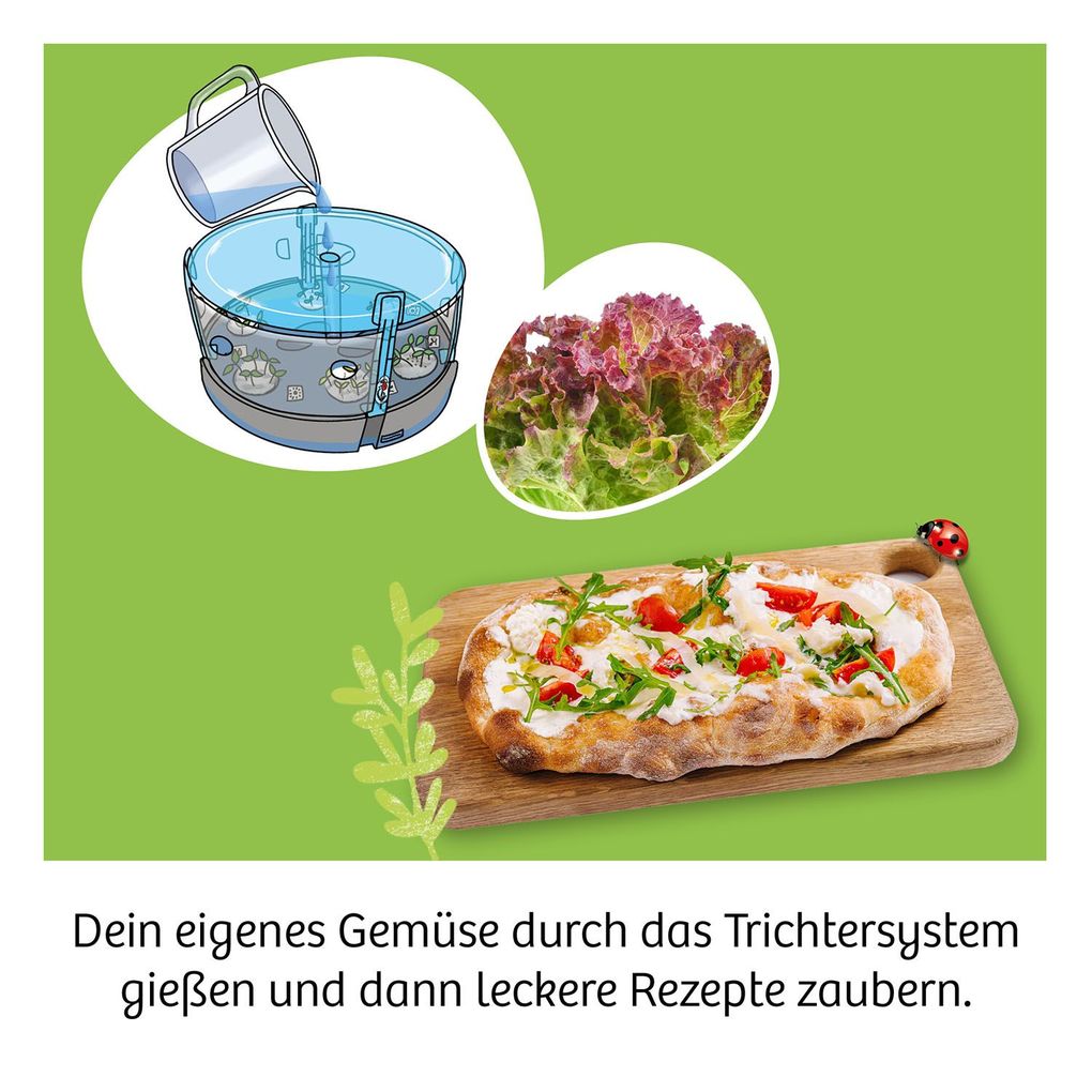 Weitere Ansicht: Hydro-Garten