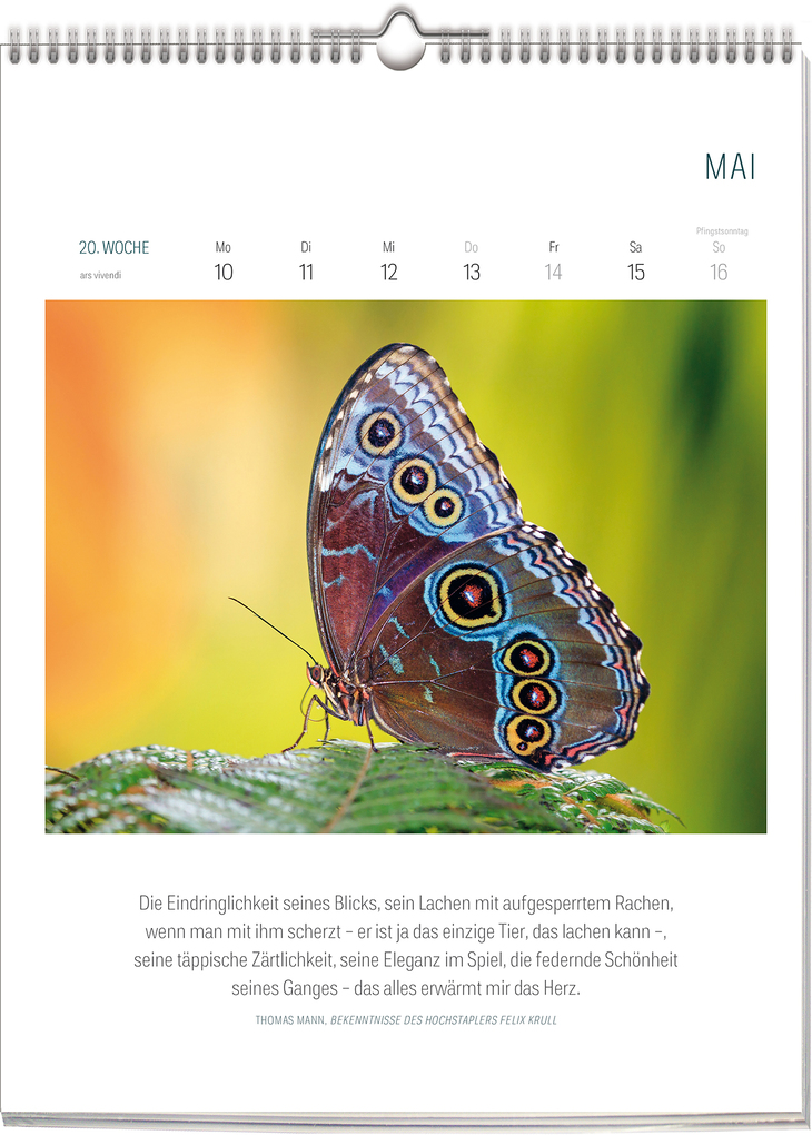 Weitere Ansicht: Literarischer Kalender - Bienen & Schmetterlinge 2027