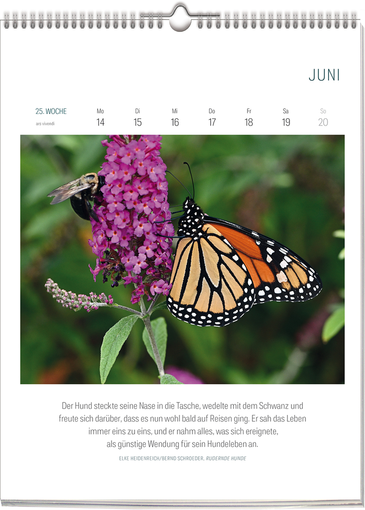 Weitere Ansicht: Literarischer Kalender - Bienen & Schmetterlinge 2027