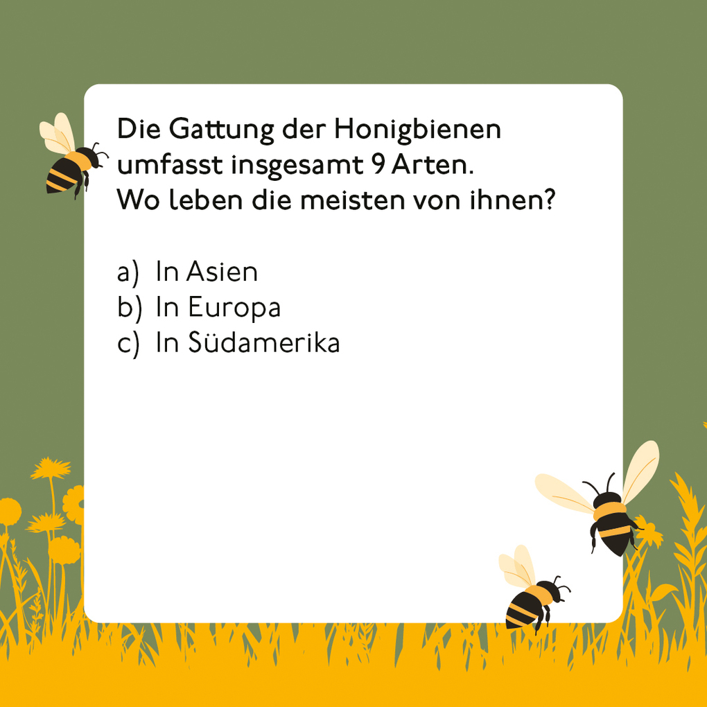 Weitere Ansicht: Bienen-Quiz | Corinna Weinert