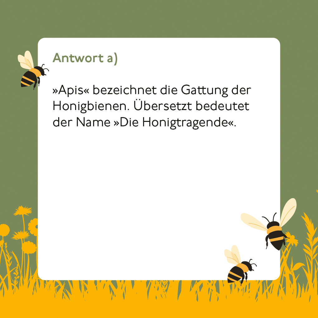 Weitere Ansicht: Bienen-Quiz | Corinna Weinert