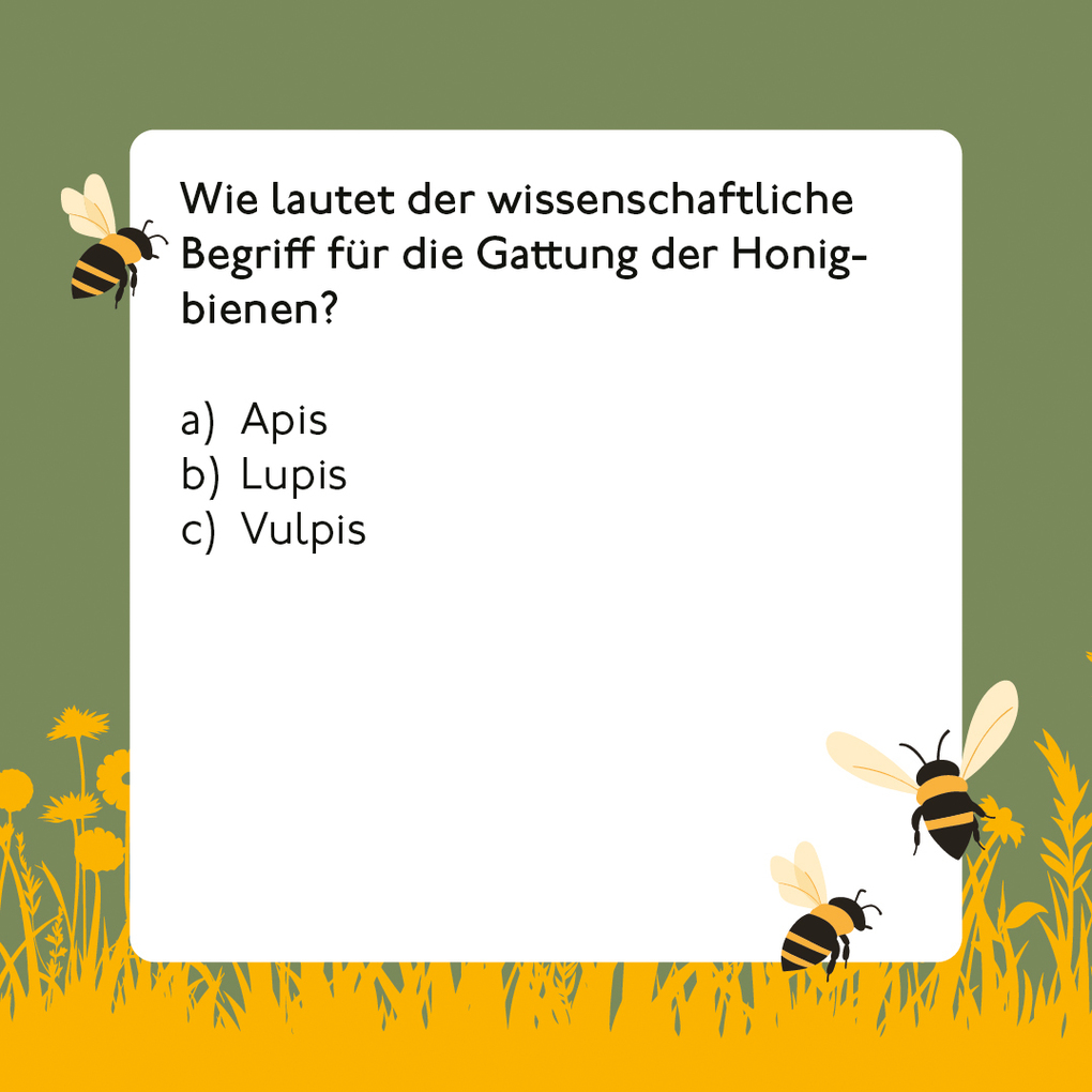 Weitere Ansicht: Bienen-Quiz | Corinna Weinert