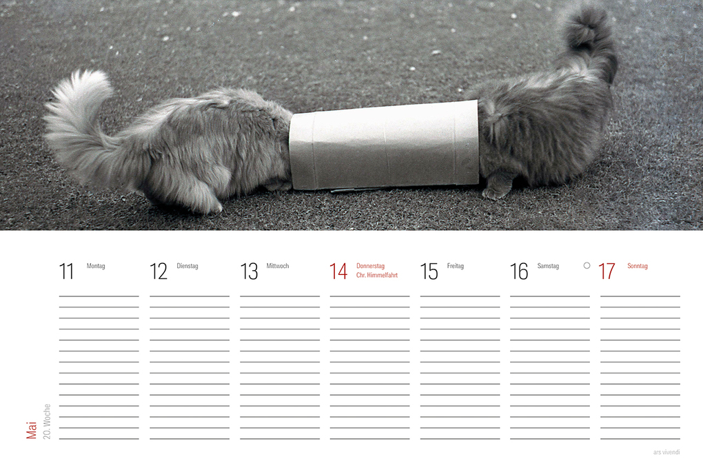 Weitere Ansicht: Tischkalender Katzen 2027 | Vivendi Ars