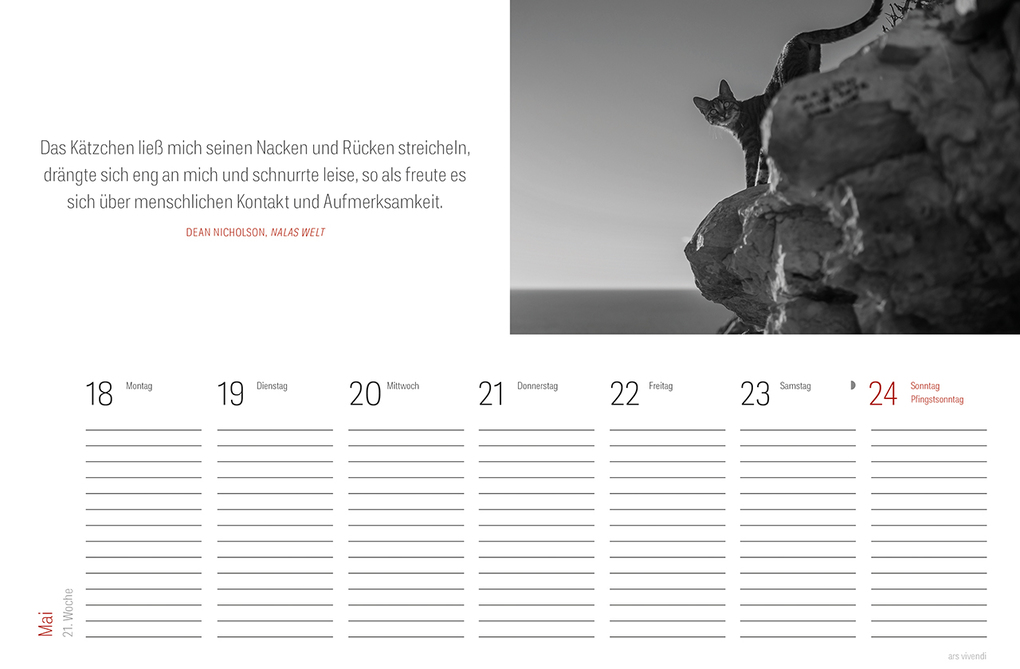 Weitere Ansicht: Tischkalender Katzen 2027 | Vivendi Ars