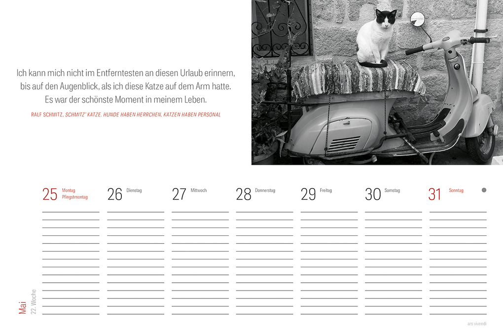 Weitere Ansicht: Tischkalender Katzen 2027 | Vivendi Ars