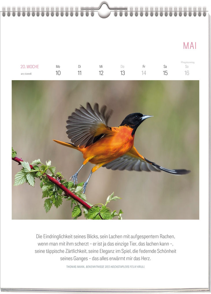 Weitere Ansicht: Literarischer Vogel Kalender 2027 | Vivendi Ars