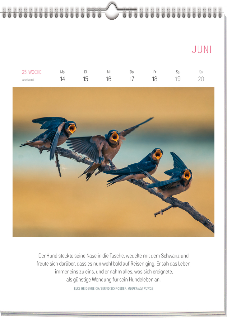Weitere Ansicht: Literarischer Vogel Kalender 2027 | Vivendi Ars