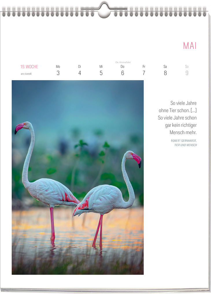 Weitere Ansicht: Literarischer Vogel Kalender 2027 | Vivendi Ars