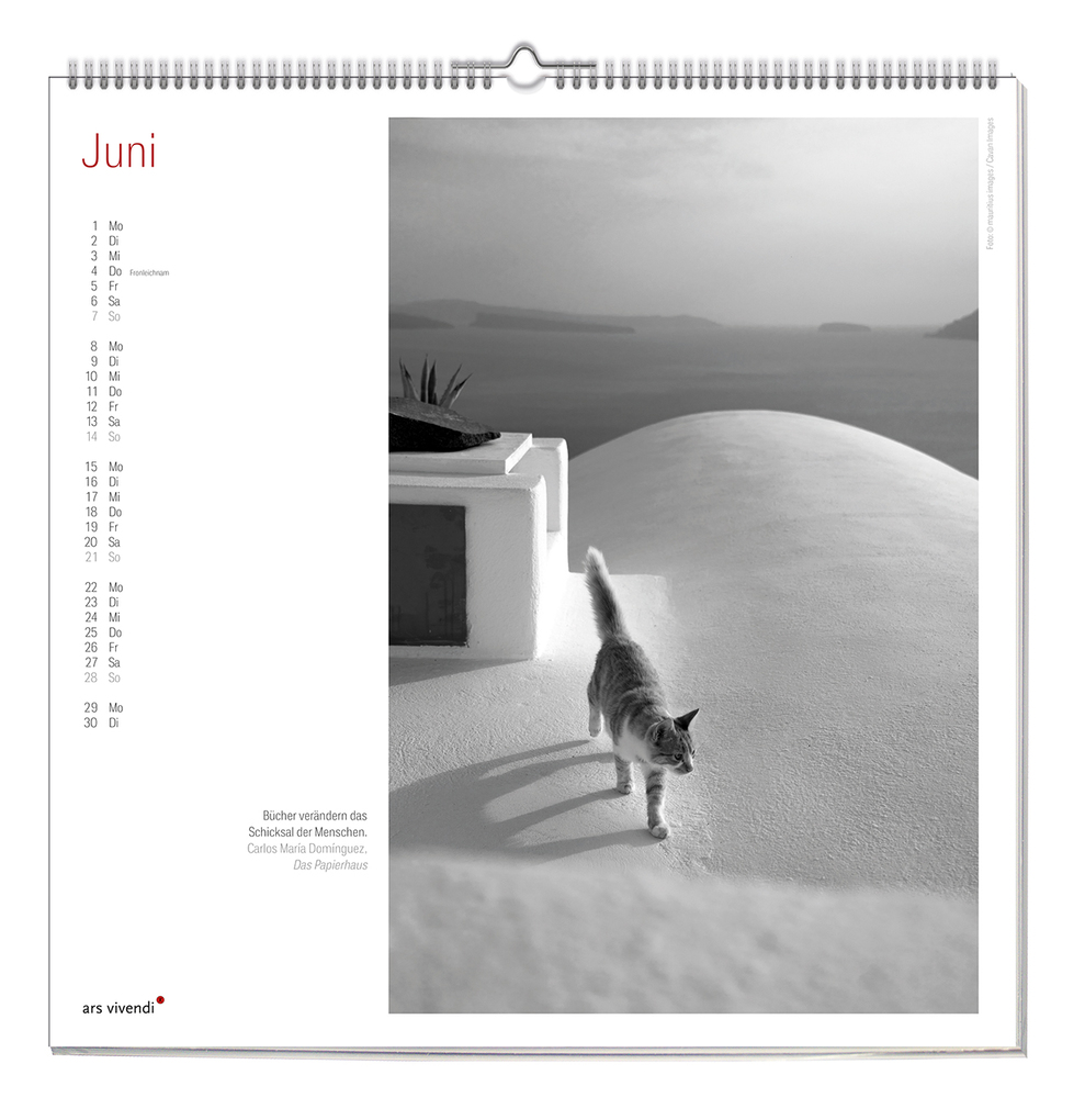 Weitere Ansicht: Der literarische Katzen Kalender 2027