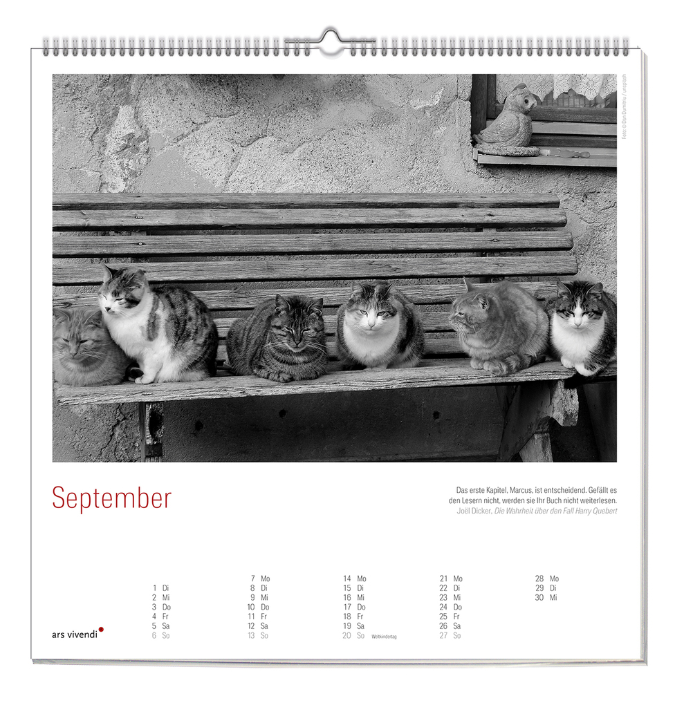 Weitere Ansicht: Der literarische Katzen Kalender 2027