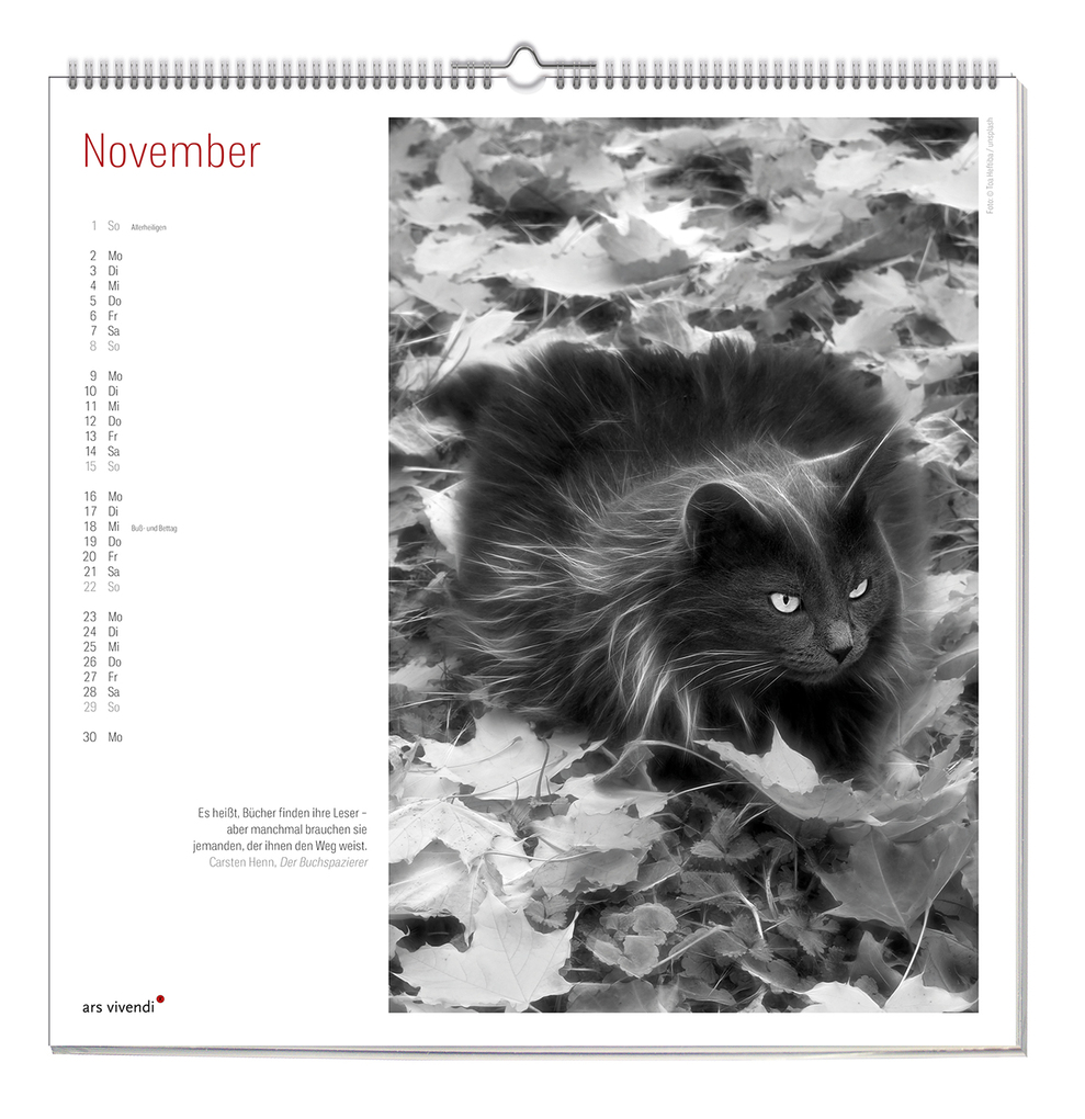 Weitere Ansicht: Der literarische Katzen Kalender 2027