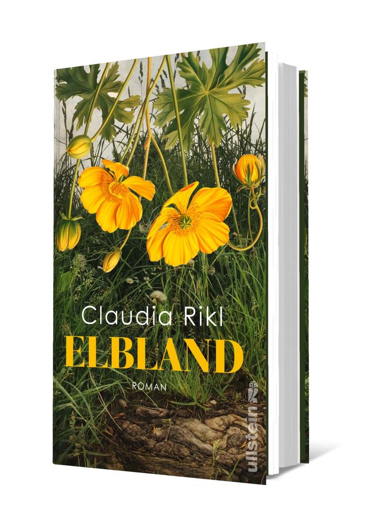 Weitere Ansicht: Elbland | Claudia Rikl