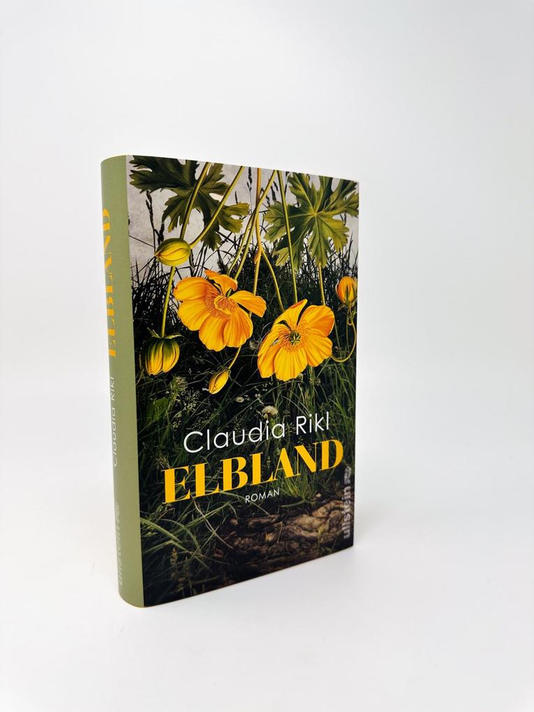 Weitere Ansicht: Elbland | Claudia Rikl
