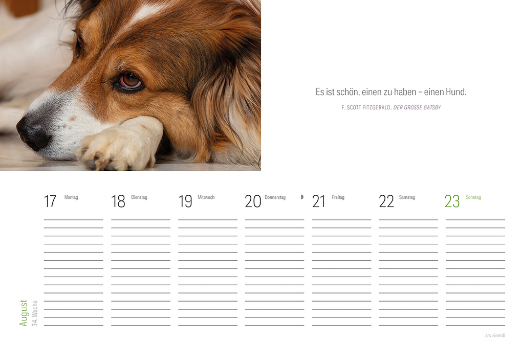 Weitere Ansicht: Tischkalender Hunde 2027 | Vivendi Ars