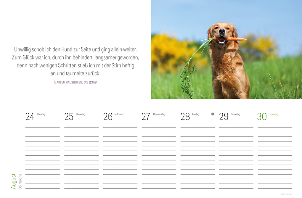 Weitere Ansicht: Tischkalender Hunde 2027 | Vivendi Ars