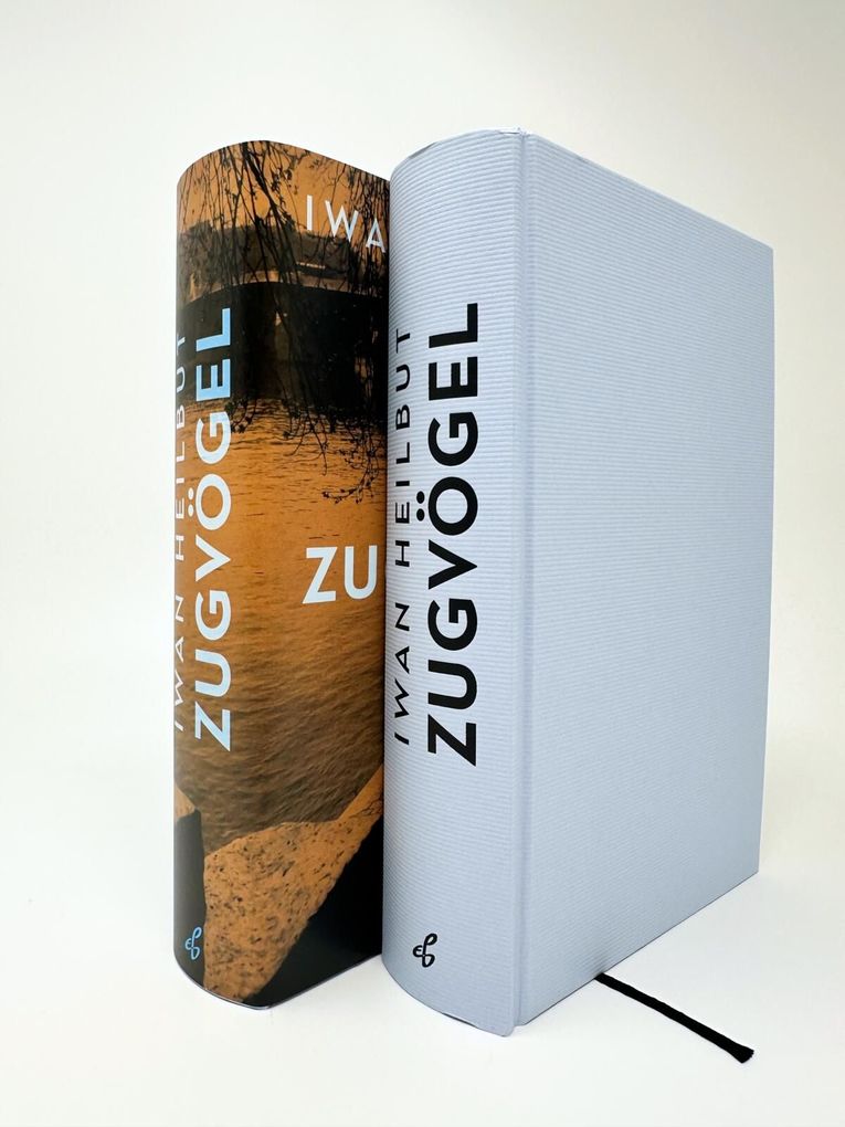 Weitere Ansicht: Zugvögel | Iwan Heilbut