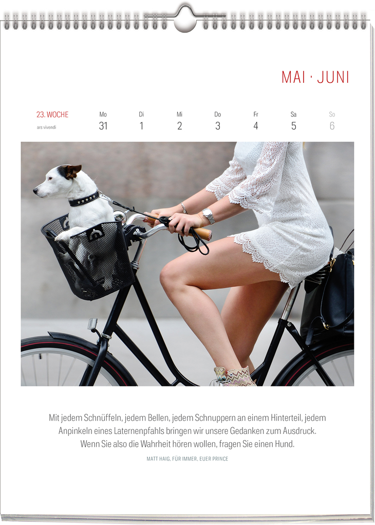 Weitere Ansicht: Literarischer Fahrrad Kalender 2027 | Vivendi Ars