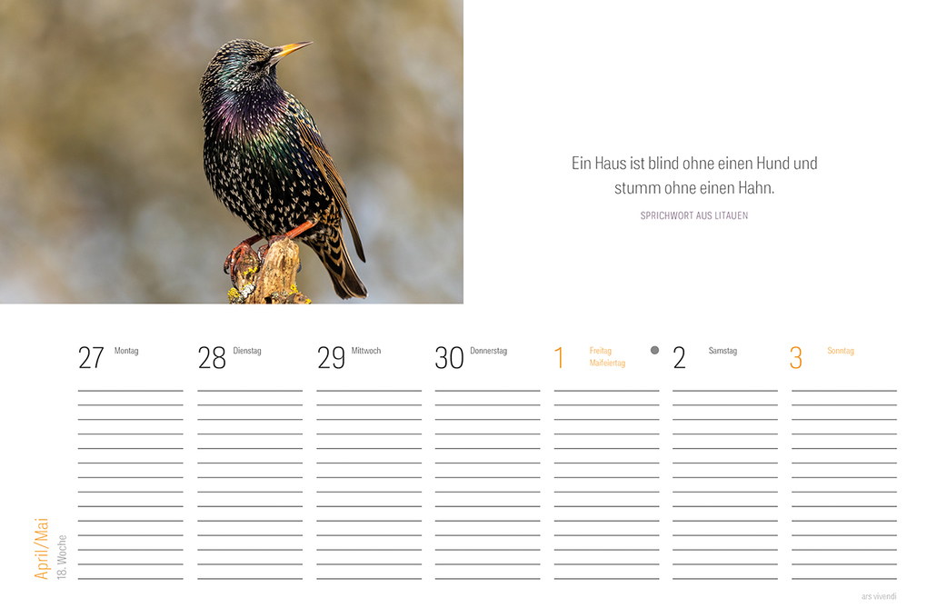 Weitere Ansicht: Tischkalender Vogel 2027 | Vivendi Ars