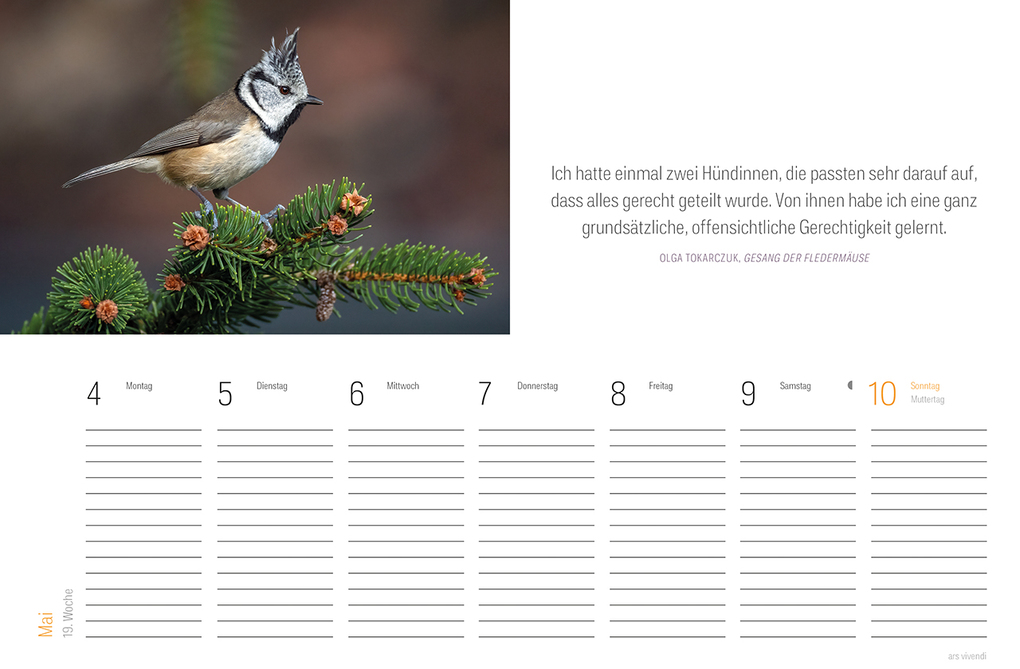 Weitere Ansicht: Tischkalender Vogel 2027 | Vivendi Ars