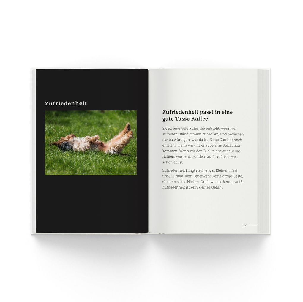 Weitere Ansicht: babysteps | Carina Hellmich, Marc Rasmus