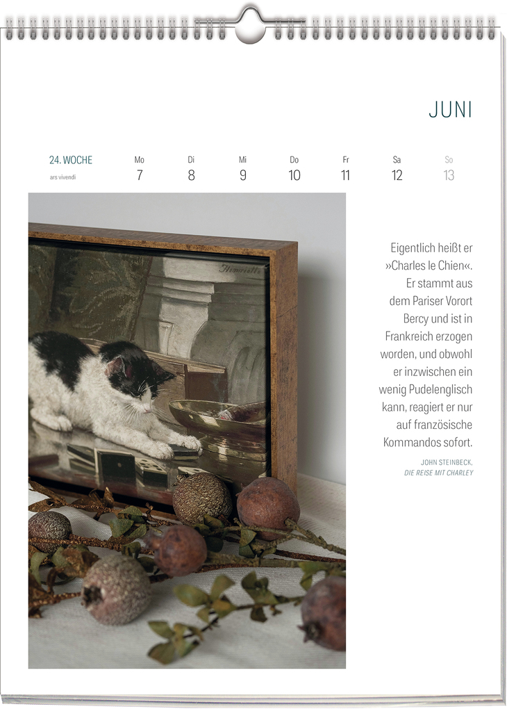 Weitere Ansicht: ars vivendi Literatur Kalender 2027 | Vivendi Ars