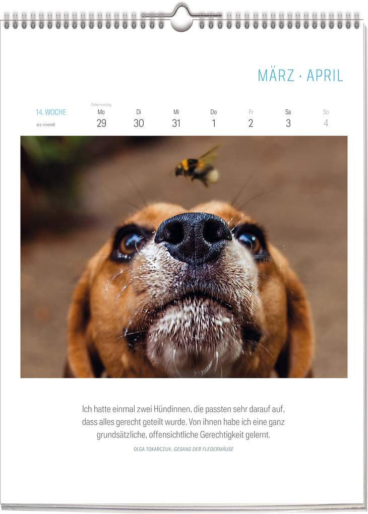 Weitere Ansicht: Literarischer Hunde Kalender 2027 | Vivendi Ars