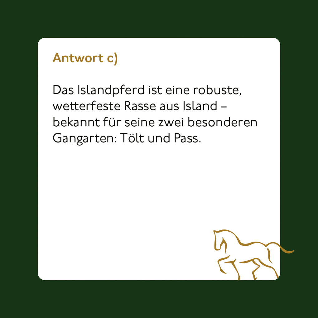 Weitere Ansicht: Pferde und Reiten - Das Quiz