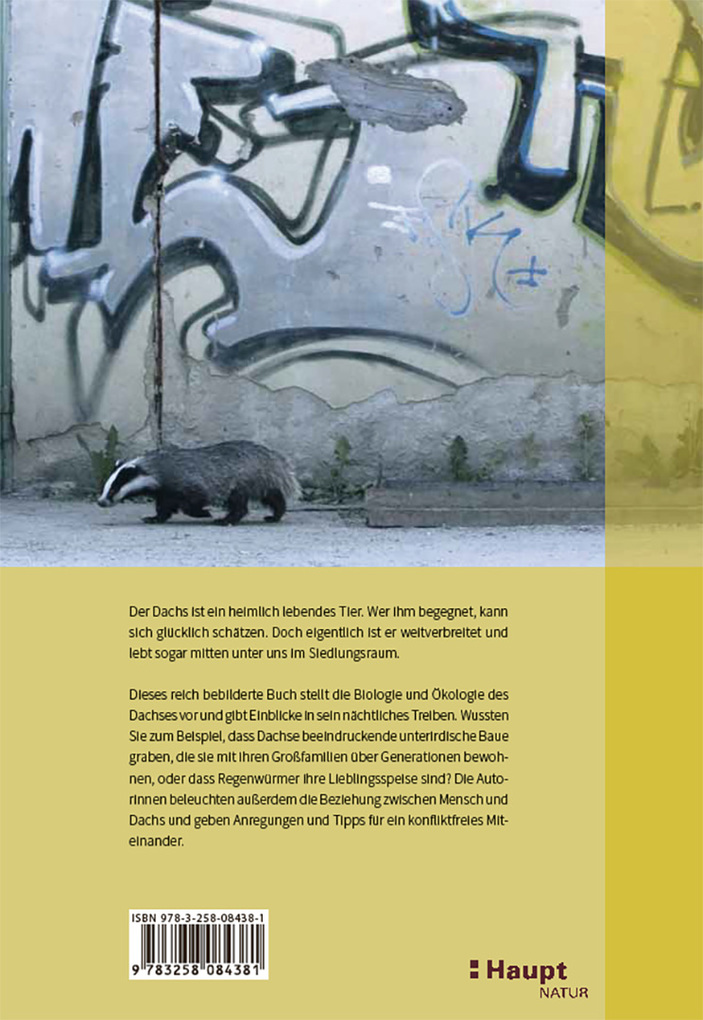 Weitere Ansicht: Der Dachs | Madeleine Geiger, Claudia Kistler, Katja Rauchenstein, Anouk-Lisa Taucher