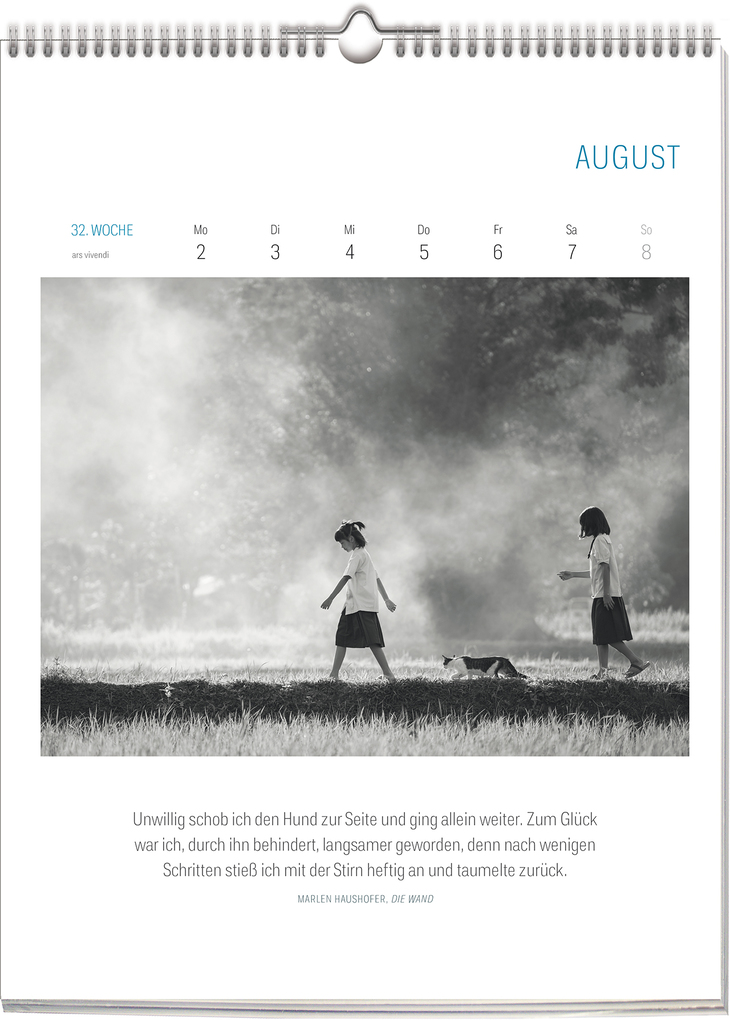 Weitere Ansicht: Literarisch durchs Jahr - Katzen 2027 | Vivendi Ars