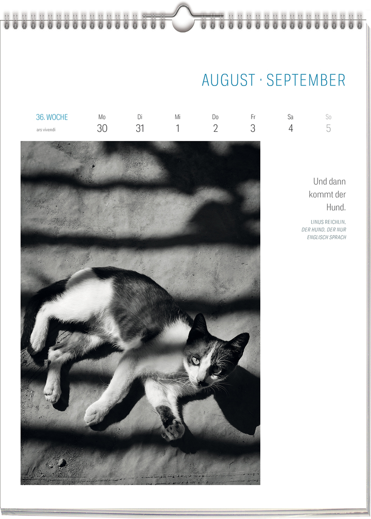 Weitere Ansicht: Literarisch durchs Jahr - Katzen 2027 | Vivendi Ars