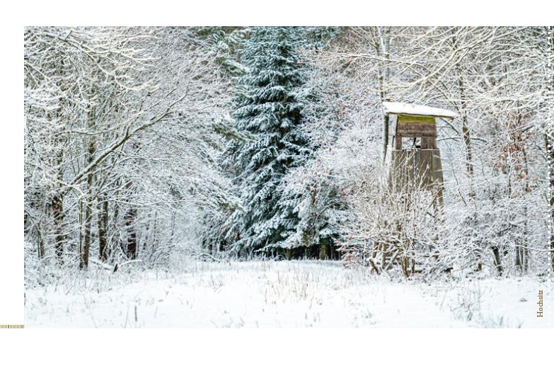 Weitere Ansicht: Escape Christmas - Der Adventskalender zum Auftrennen | Lotte Kinskofer, Toni Anzenberger