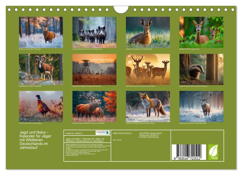 Weitere Ansicht: Jagd und Natur - Kalender für Jäger mit Wildtieren Deutschlands im Jahreslauf (Wandkalender 2026 DIN A4 quer), CALVENDO Monatskalender | MB Fotografie, Calvendo