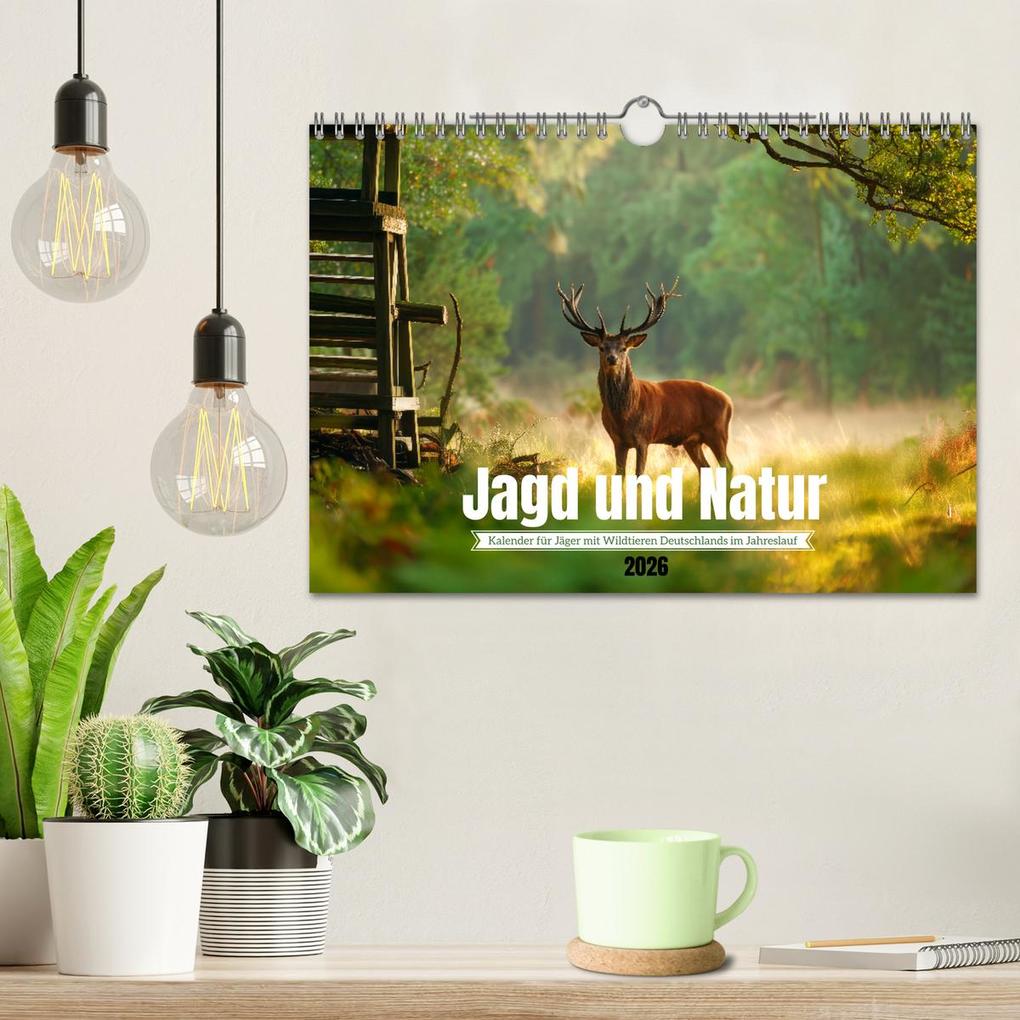 Weitere Ansicht: Jagd und Natur - Kalender für Jäger mit Wildtieren Deutschlands im Jahreslauf (Wandkalender 2026 DIN A4 quer), CALVENDO Monatskalender | MB Fotografie, Calvendo